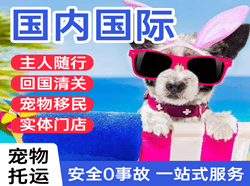昭苏天马机场空运国际宠物托运 【国